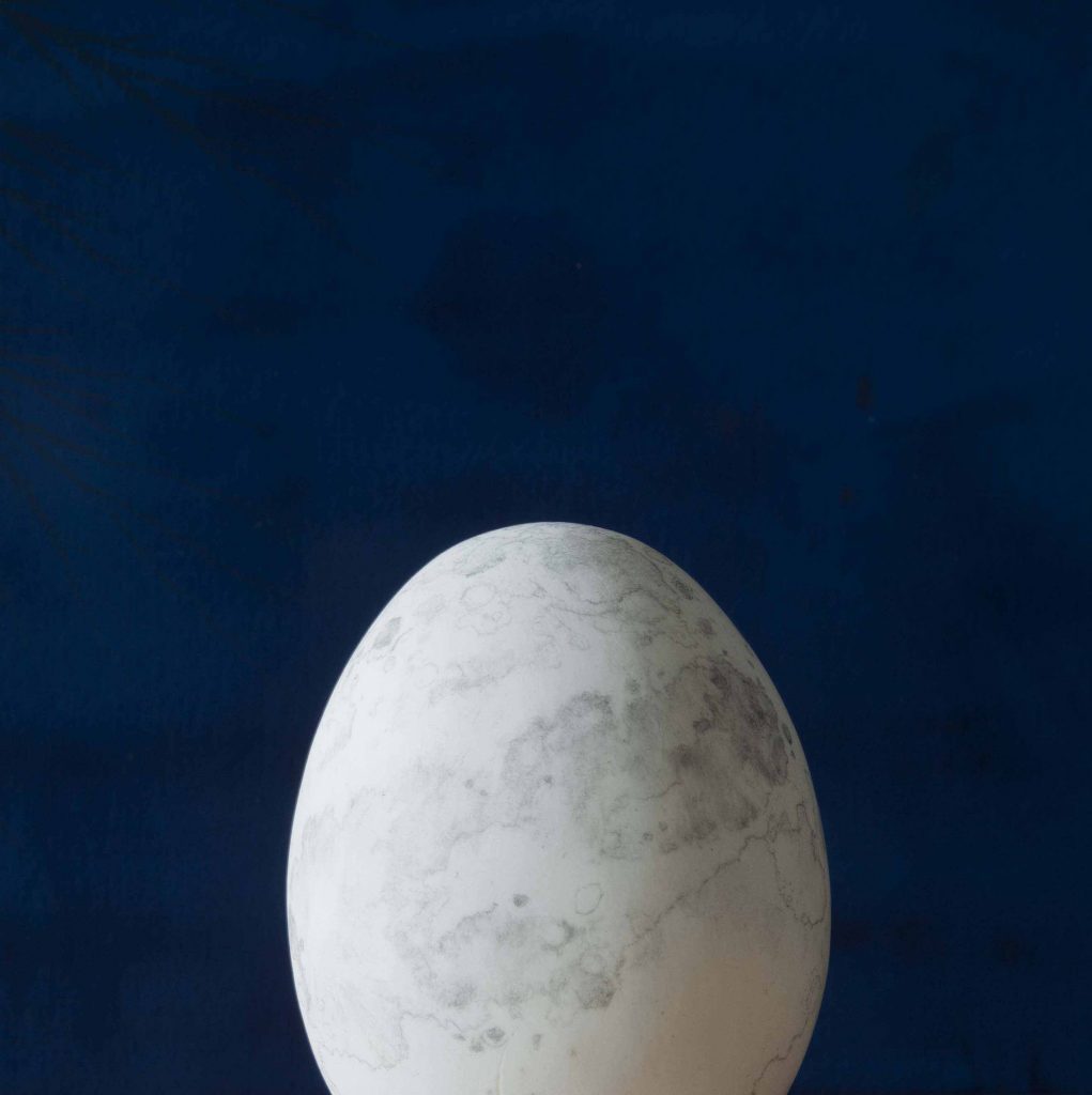 Moon Egg by Penny McCarthy